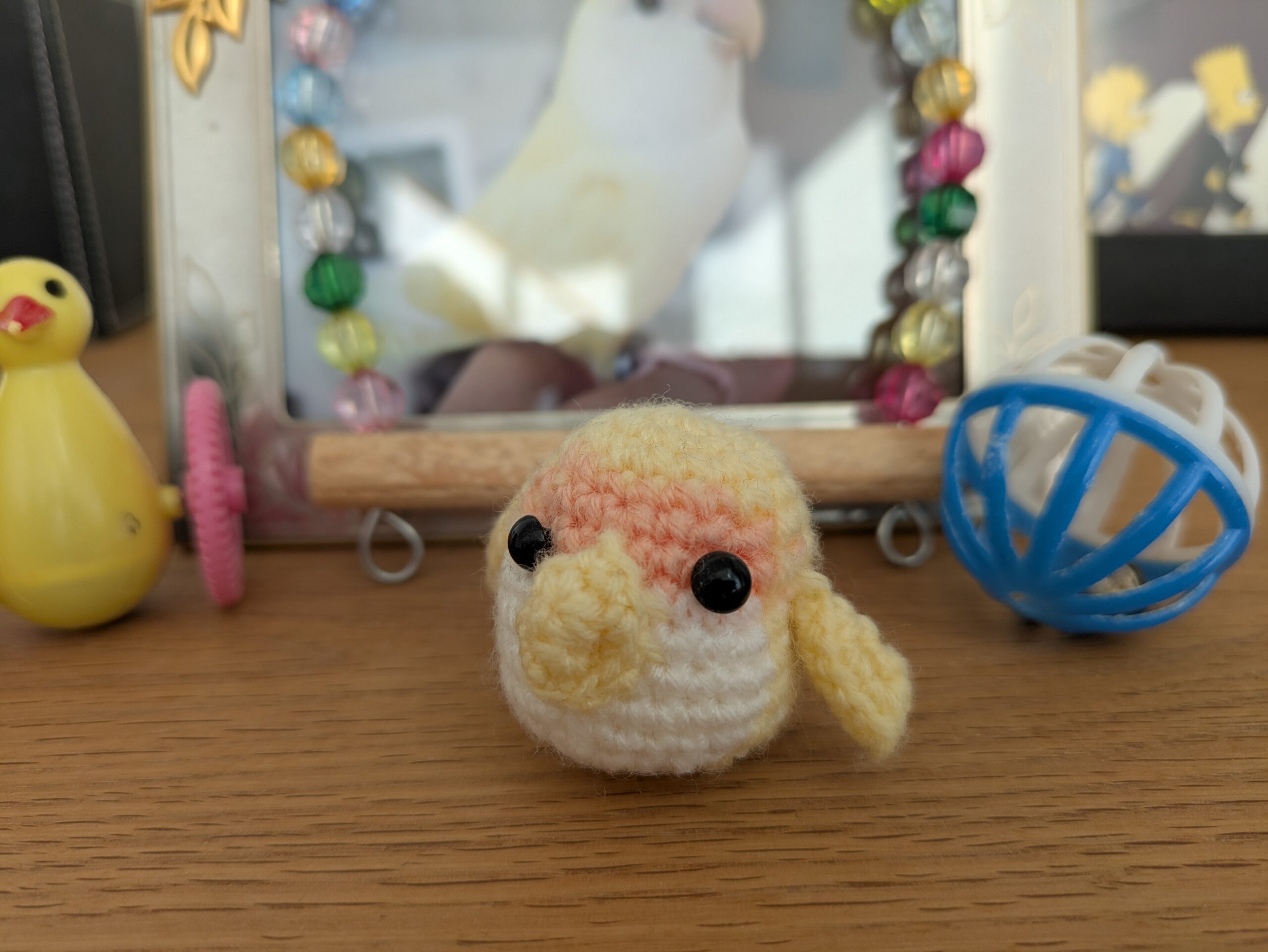 遺影 コザクラインコ